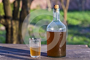 Big bottle with a drink made from fermented birch sap on the wooden table on a warm spring day, closeup. Traditional Ukrainian