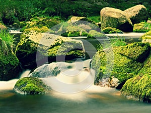 Big boulders covered by fresh green moss in foamy water of mountain river. Light blurred cold water with reflections, white