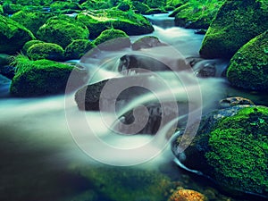 Big boulders covered by fresh green moss in foamy water of mountain river. Light blurred cold water with reflections, white