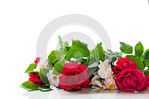 big bouquet of beautiful red and pink roses on white background