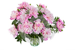 Big bouquet of pink peonies