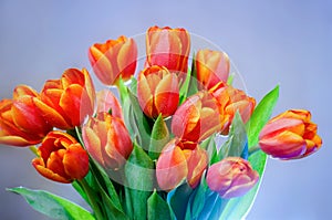 Big bouquet of red tulips