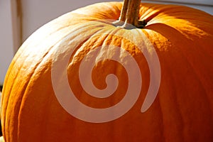 Big bright orange pumpkin