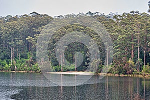 Big Brook Dam Foreshore and Picnic Area in Channybearup