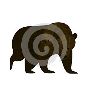 Big brown bear isolated on white background