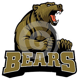 Big brown bear mascot