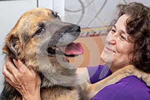 Big brown dog hugs a woman, his mistress. Woman and dog happy together