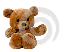 Big brown teddy bear