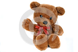 Big brown teddy bear