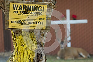 Big buck lays behind no trespass sign