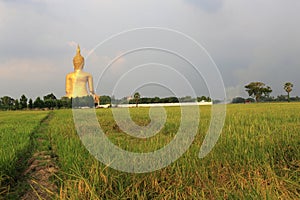 Big Buddha, Angthong