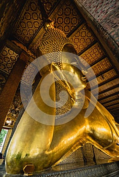 Big Buddha gold statue, Closeup golden buddha, Wat Pho