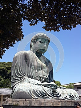 Big Buddha image photo