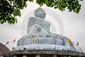 Big Buddha statue Was built on a high hilltop of Phuket Thailand Can be seen from bodhi tree is symbol buddhism.