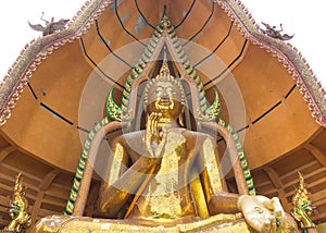 Big Buddha Statue on white background