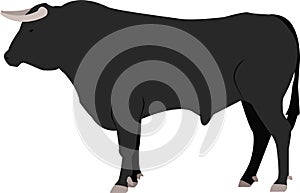 Big bull wild animal vector icon isolated on white