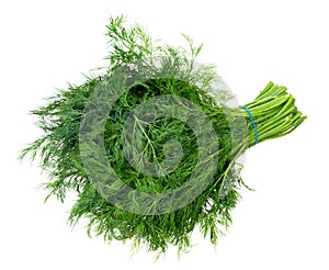 big bundle of fresh wet green dill herb cutout