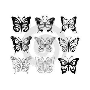 Big butterfly icon,Butterfly silhouette icons set, Vector Illustrations,white background,vector outline icons,Butterfly logo,