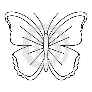 Big butterfly icon, outline style