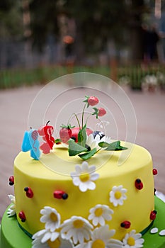 Big cake covered with yellow and green icing and photo