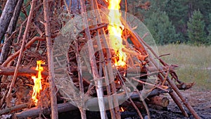 Big Campfire of the Logs Burns at Night in the Forest. Slow Motion.