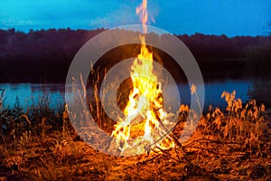 Big campfire at night in the forest