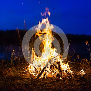 Big campfire at night in the forest