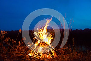 Big campfire at night in the forest