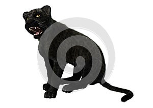 Big Cat Black Panther