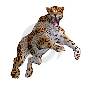 Il grande gatto giaguaro 
