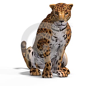Il grande gatto giaguaro 