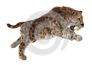 Big Cat Sabertooth