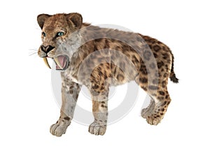 Big Cat Sabertooth