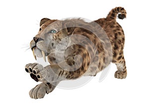 Big Cat Sabertooth photo