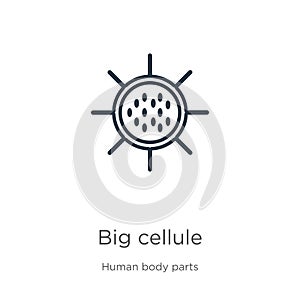 Big cellule icon. Thin linear big cellule outline icon isolated on white background from human body parts collection. Line vector photo