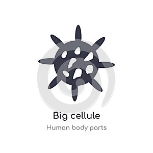 big cellule outline icon. isolated line vector illustration from human body parts collection. editable thin stroke big cellule