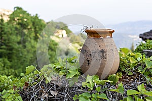 Big ceramic decorative jar in a garden