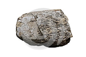 A big Chert rock stone isolated on a white background.