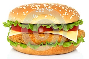 Big chicken hamburger