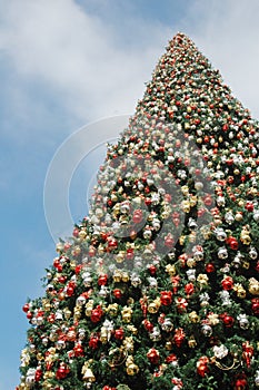 Big Christmas Tree