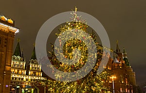 Big Christmas tree in  Moscow downtown