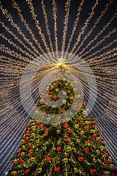 Big Christmas tree. New Year decorations and Christmas atmosphere on a winter street in Moscow.