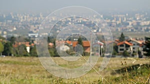 Big city lying afar spreading up to horizon, overviewed from suburban fields