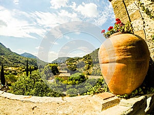 Big clay jar with flower near old stone wall, Mallorca island, S photo