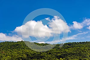 Big cloud over forest