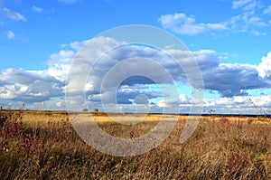 Big clouds over autumn field