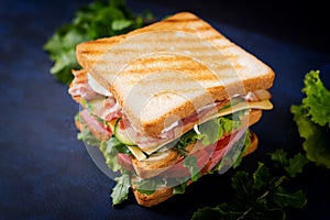 Big Club sandwich with ham, bacon, tomato, cucumber, cheese, eggs and herbs