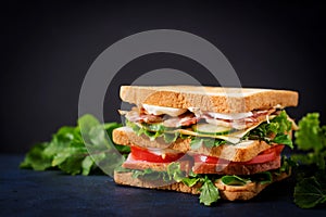 Big Club sandwich with ham, bacon, tomato, cucumber, cheese, eggs and herbs