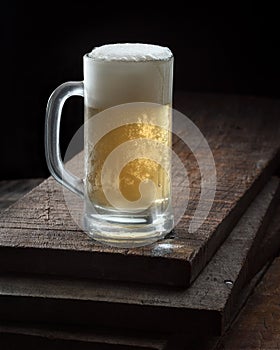 Big Cold Beer Mug