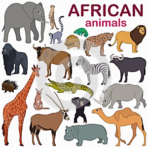 Big collection of cute cartoon african animals.